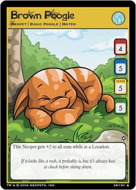Brown Poogle